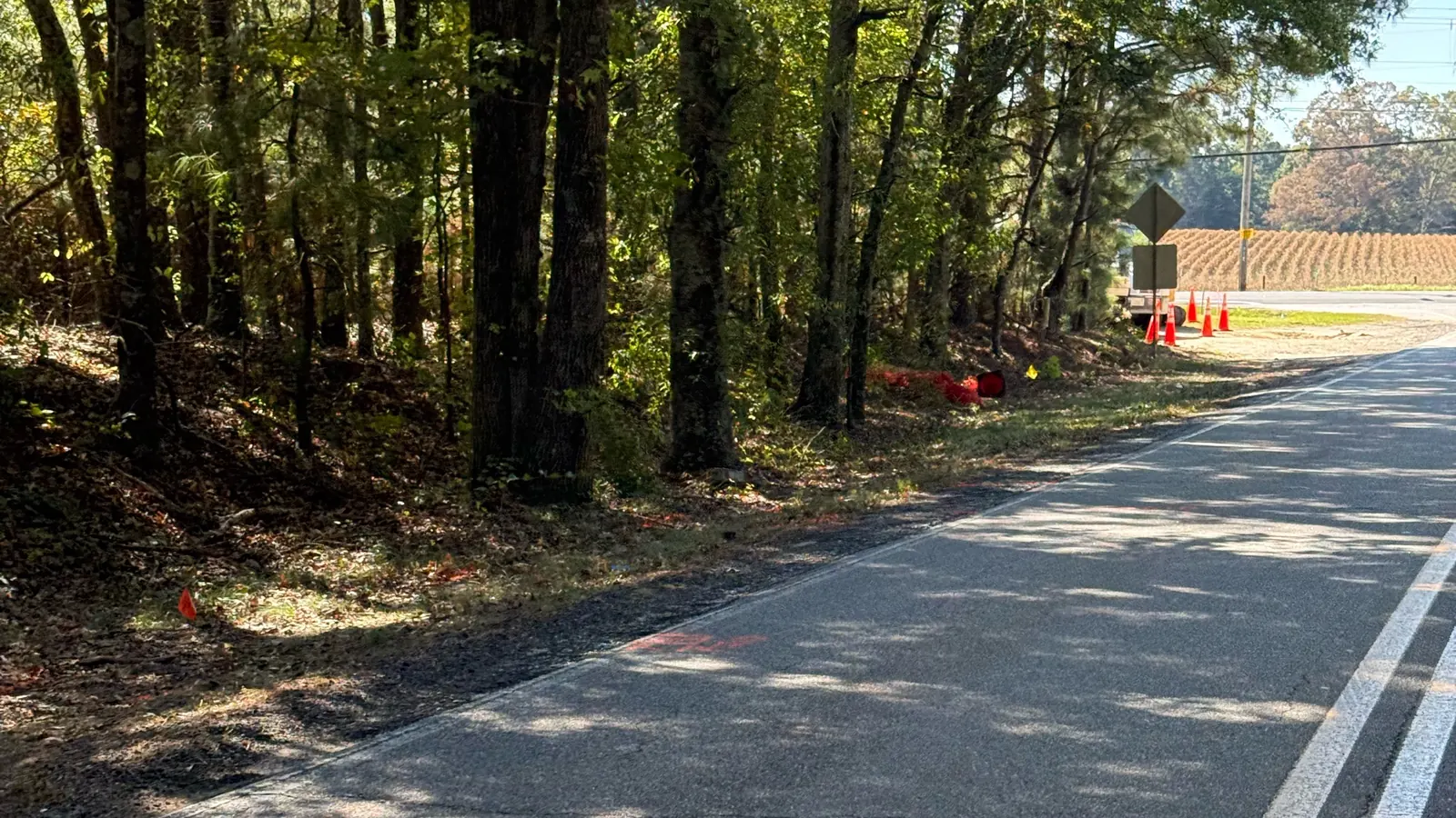 Those Paint Marks on Grady Smith Road? Georgia Power Is Going Underground
