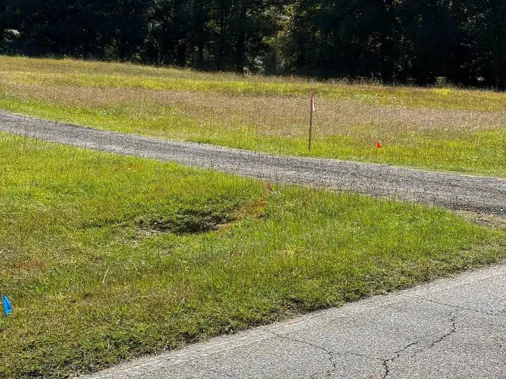 Utility marker flags beside a gravel driveway off Grady Smith Road in Loganville, with a blue flag in the grass near the road